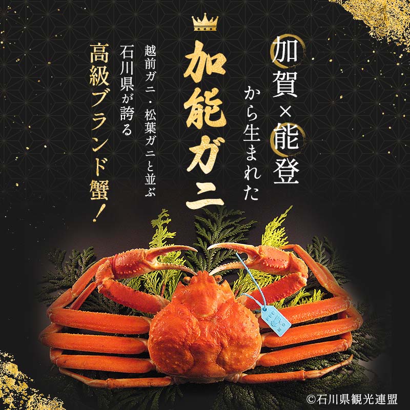 朝茹で加能ガニ姿3杯入り 蟹 かに ズワイガニ グルメ 海産物 贈り物 加賀 F6P-3187