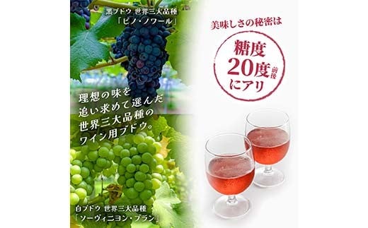 飲みやすいロゼスパークリングワイン ユタカーナ（750ml）1本 ぶどう ブドウ 葡萄 お酒 アルコール飲料 ピノ・ノワール ソーヴィニヨン・ブラン ロゼ F6P-3162