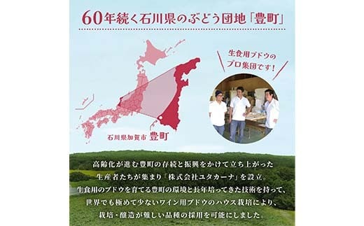 飲みやすいロゼスパークリングワイン ユタカーナ（750ml）1本 ぶどう ブドウ 葡萄 お酒 アルコール飲料 ピノ・ノワール ソーヴィニヨン・ブラン ロゼ F6P-3162