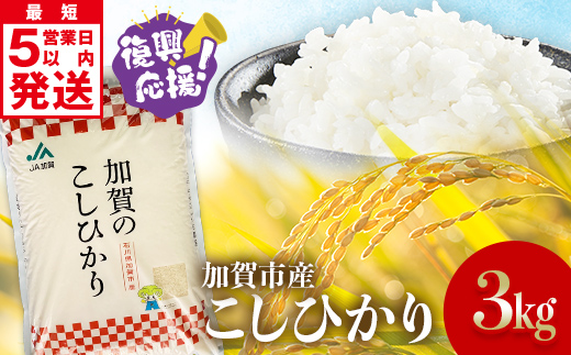 【最短5営業日発送】令和7年産こしひかり 3.0kg(1.5kg×2袋) 生活応援米 精米 銘柄米 お米 米 ギフト 贈り物 グルメ 食品 復興応援米 F6P-3219