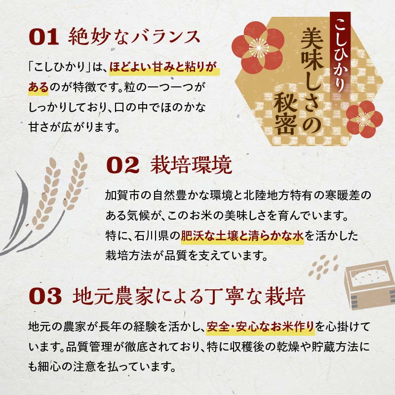 【順次発送】令和7年産 こしひかり 3.0kg(1.5kg×2袋) 生活応援米 精米 銘柄米 お米 米 ギフト 贈り物 グルメ 食品 復興応援米 F6P-3219