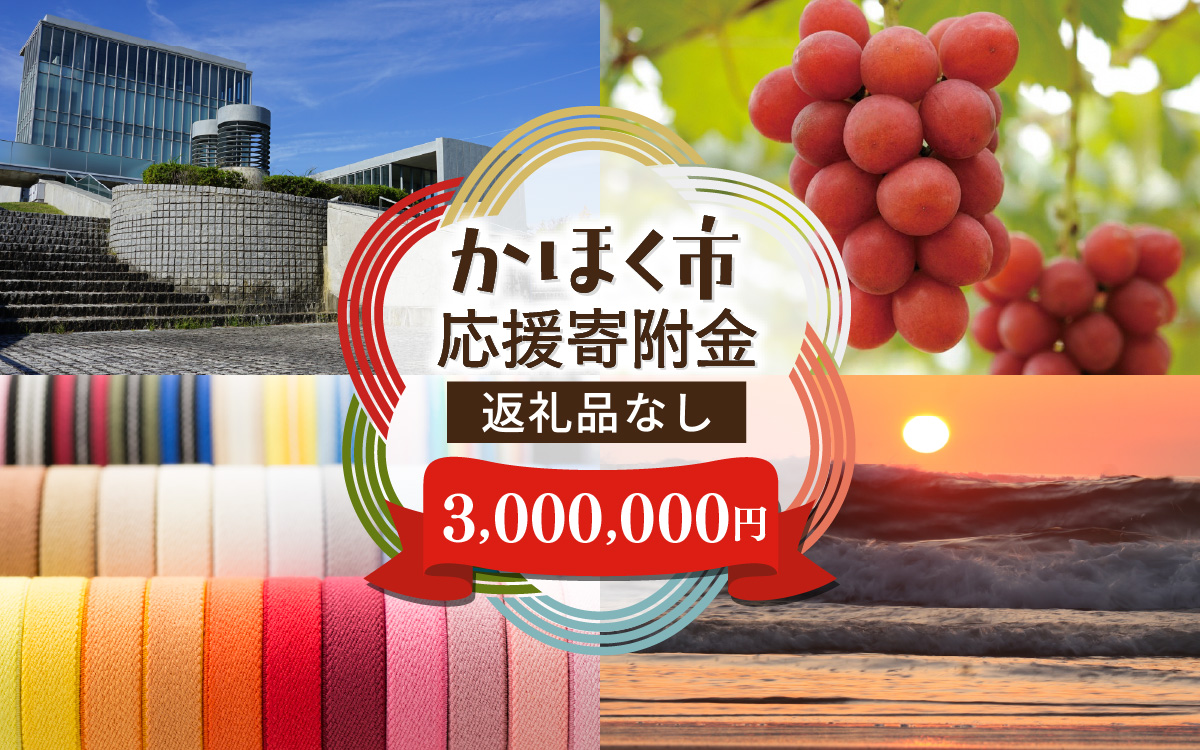 【返礼品なし】石川県 かほく市 応援寄附金 3,000,000円分 | 支援 純粋寄附
