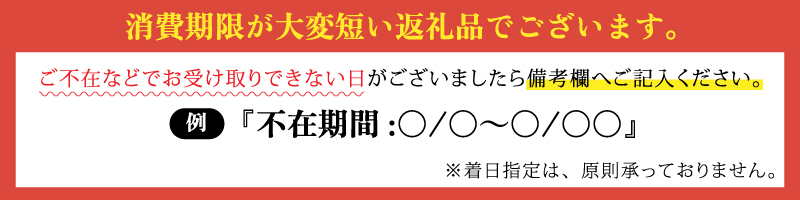 ルビーロマン 500g × 2房（2箱）【2026年収穫分】| ぶどう ぶどう 葡萄