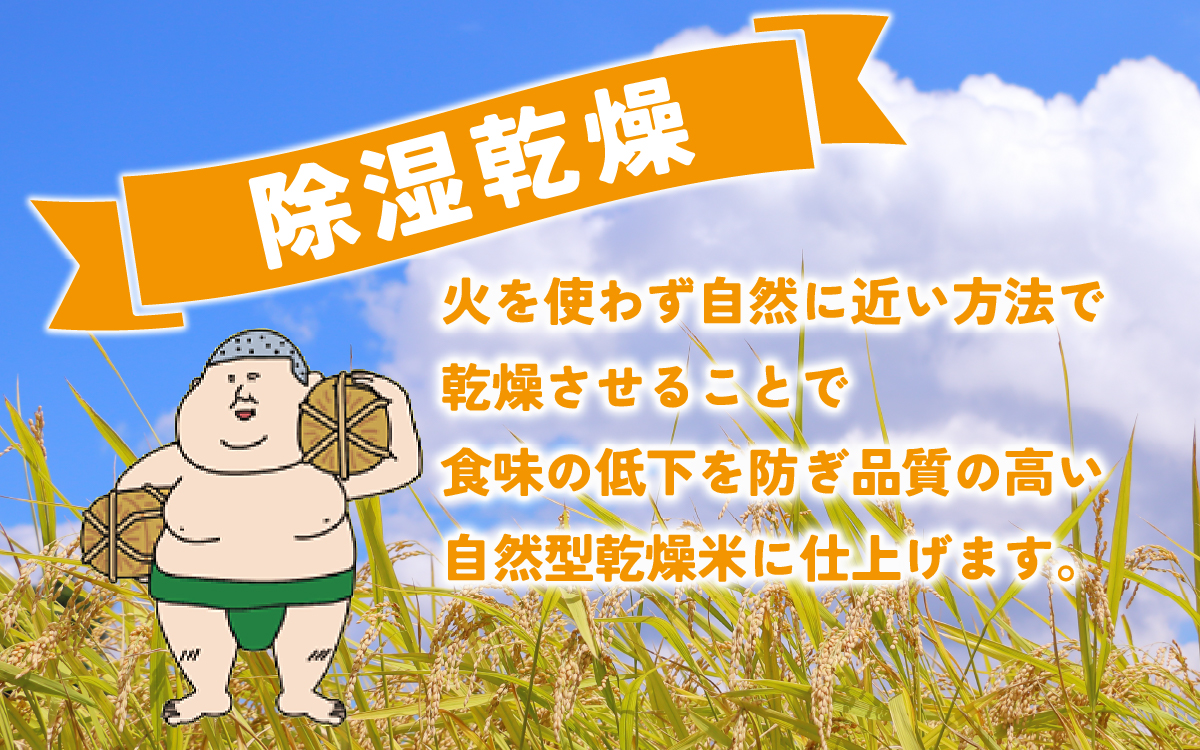 里山のこしひかり ほくの里 2kg × 2袋 計4kg | コシヒカリ 令和7年産