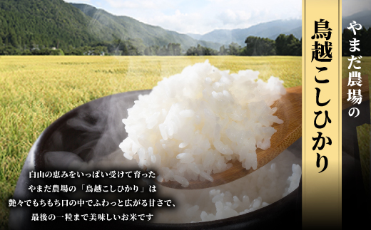 やまだ農場の鳥越こしひかり10kg(5kg×2パック)白米【1019156】