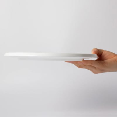 NIKKOã®24cmãã¬ãŒã5æã»ããããã£ã¹ã¯ããããã³ãŒé£åšã(11400-0024-5)ã1551795ã