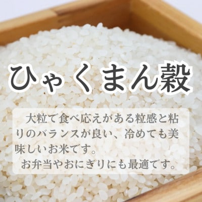 特別栽培米　ひゃくまん穀　精米2kg【1695699】