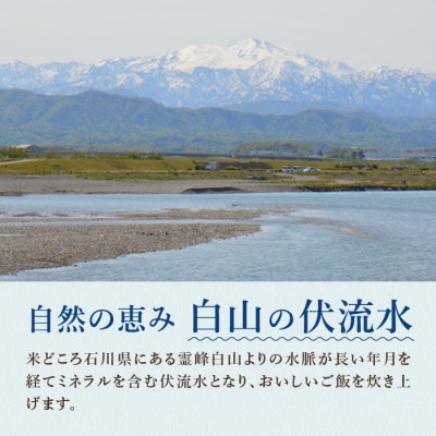 ジューシーな鯖で　冷凍とは思えない!　冷凍焼き鯖寿司　3食セット【配送不可地域：離島】【1514749】