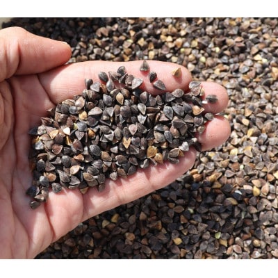 白山麓そばセット(8食分)【1596860】