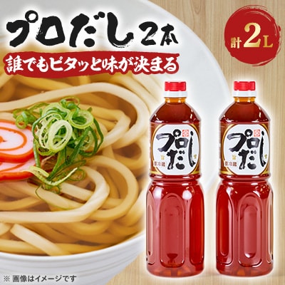 プロだし1000ml　2本セット【配送不可地域：離島】【1087577】