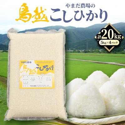 やまだ農場の鳥越こしひかり20kg(5kg×4パック)白米【1019157】