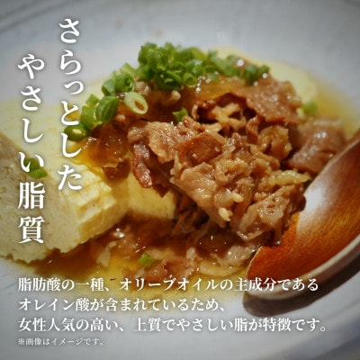 縲仙柱迚帙そ繝ャ繝悶題ス逋サ迚 蛻繧願誠縺ィ縺 1kg(500gテ2P)縲宣埼∽ク榊庄蝨ー蝓滂シ夐屬蟲カ縲代1621113縲