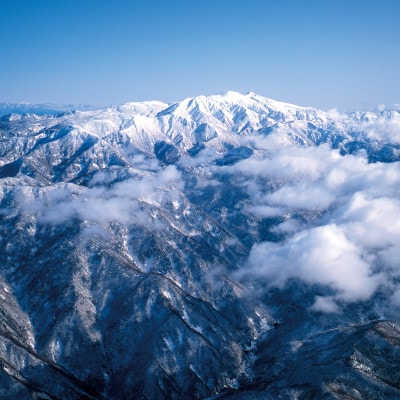 SHIRA・YAMA・YAオリジナル　GI白山　3本セット【1611658】