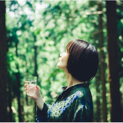 æšã®ãã¬ãã¢ã çé
žæ°ŽãQINO SODAâãããœãŒãâã人ã«ãã€ããããæ£®ã«åŸªç°ããã1370906ã