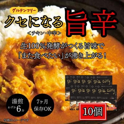 発酵スパイスカレー10個 ★白山麓のW発酵とスパイス5種  クセになる旨辛 グルテンフリー&無添加【配送不可地域：離島】【1376659】