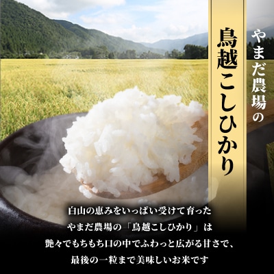 やまだ農場の鳥越こしひかり20kg(5kg×4パック)白米【1019157】