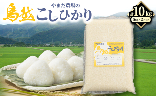 やまだ農場の鳥越こしひかり10kg(5kg×2パック)白米【1019156】