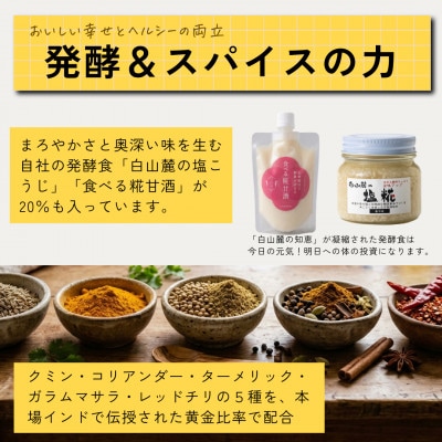 発酵スパイスカレー21個 ★白山麓のW発酵とスパイス5種  クセになる旨辛 グルテンフリー&無添加【配送不可地域：離島】【1586919】