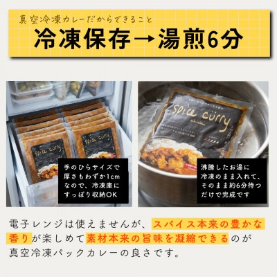 発酵スパイスカレー10個 ★白山麓のW発酵とスパイス5種  クセになる旨辛 グルテンフリー&無添加【配送不可地域：離島】【1376659】