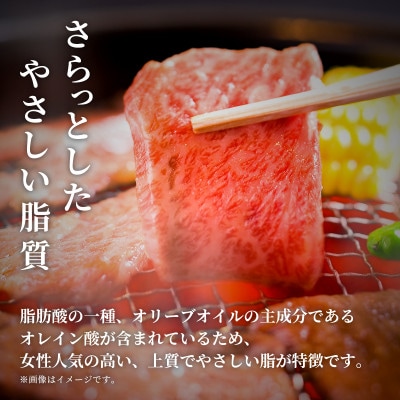 能登牛 牛肩(ウデ) 焼肉 200g【配送不可地域：離島】【1556807】