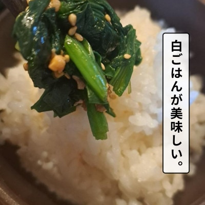 白山麓のしょうゆ糀 3個  ★生きた発酵食の万能調味料 ★手軽で便利、しっかり健康。★レシピ付【配送不可地域：離島】【1383216】