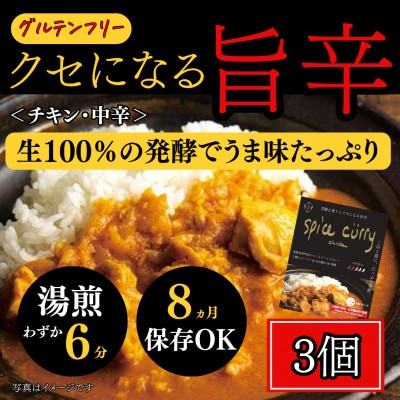 発酵スパイスカレー3個 ★5種のスパイスと白山麓のW発酵 芳醇な香り&クセになる旨辛 グルテンフリー【配送不可地域：離島】【1376651】