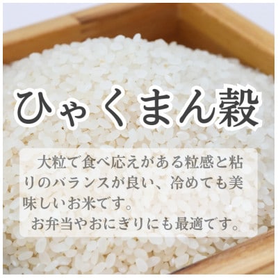 特別栽培米　ひゃくまん穀　精米5kg【1695698】