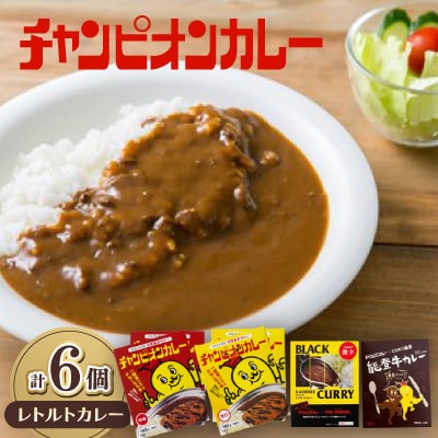チャンピオンカレー レトルトカレー4種(計6個)セット【1460171】