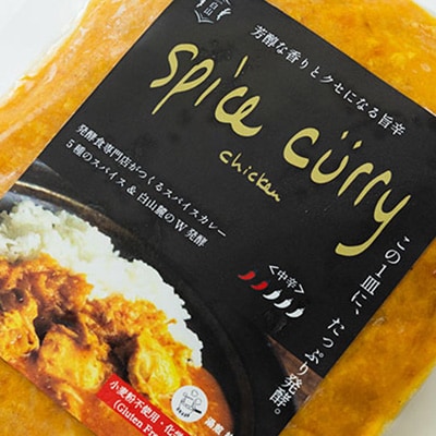 発酵スパイスカレー3個 ★5種のスパイスと白山麓のW発酵 芳醇な香り&クセになる旨辛 グルテンフリー【配送不可地域：離島】【1376651】