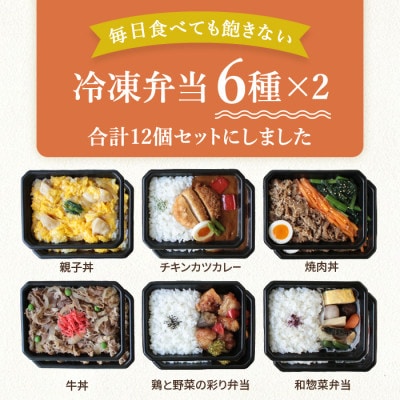 冷凍弁当6種×2食　12食入【配送不可地域：離島】【1514703】