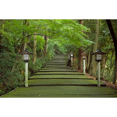 白山比め神社ガイド付き昇殿参拝【1250603】