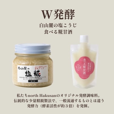 発酵スパイスカレー6個 ★5種のスパイスと白山麓のW発酵 芳醇な香り&クセになる旨辛 グルテンフリー【配送不可地域：離島】【1376653】