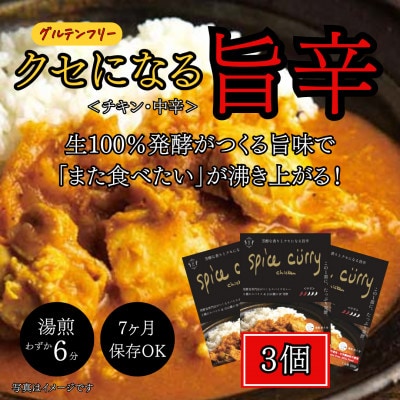 発酵スパイスカレー3個 ★5種のスパイスと白山麓のW発酵 芳醇な香り&クセになる旨辛 グルテンフリー【配送不可地域：離島】【1376651】