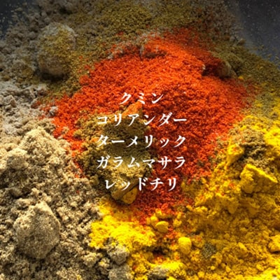 発酵スパイスカレー6個 ★5種のスパイスと白山麓のW発酵 芳醇な香り&クセになる旨辛 グルテンフリー【配送不可地域：離島】【1376653】