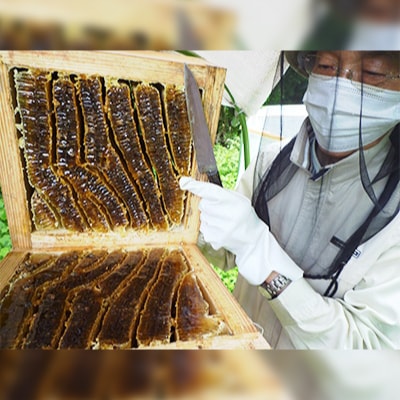 ç³å·ççœå±±åžç£ãçŽç²æ¥æ¬ã¯ã¡ã¿ã€ãçœå±±ã²ãã¿ã€ã270gã1126417ã