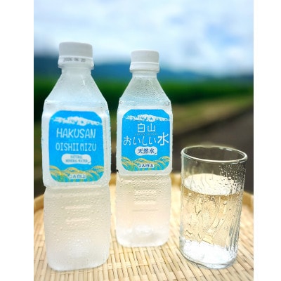 白山おいしい水　天然水　550mlペットボトル×24本(1ケース)【1633047】