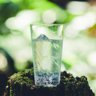 æšã®ãã¬ãã¢ã çé
žæ°ŽãQINO SODAâãããœãŒãâã人ã«ãã€ããããæ£®ã«åŸªç°ããã1370906ã