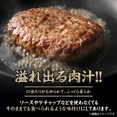 【能登牛】極上ハンバーグ　150g×8ヶ【配送不可地域：離島】【1130496】