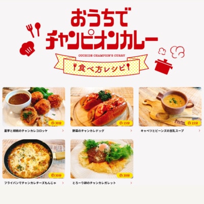 チャンピオンカレー レトルトカレー4種(計6個)セット【1460171】
