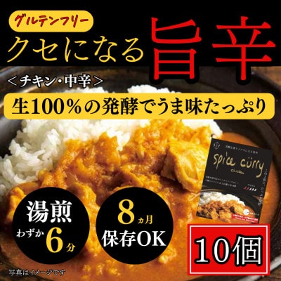 発酵スパイスカレー10個 ★白山麓のW発酵とスパイス5種  クセになる旨辛 グルテンフリー&無添加【配送不可地域：離島】【1376659】