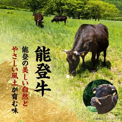 【能登牛】極上ハンバーグ　150g×8ヶ【配送不可地域：離島】【1130496】