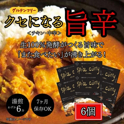 発酵スパイスカレー6個 ★白山麓のW発酵とスパイス5種  クセになる旨辛 グルテンフリー&無添加【配送不可地域：離島】【1376653】