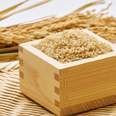 《白山鶴来の恵み》　稲ほ舎の銀のどじょう　玄米5kg【1019570】