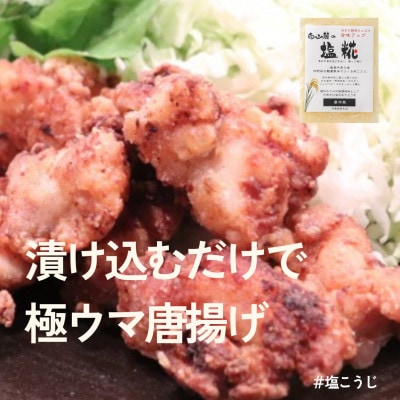 糀はじめてセット★発酵食の初心者ができる簡単レシピ付★お試しパックで失敗ナシ【配送不可地域：離島】【1383797】