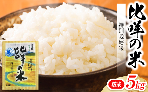 特別栽培米　ヒメの米(白山麓コシヒカリ)精米5kg【1596858】