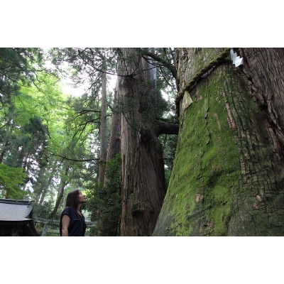 白山比め神社ガイド付き昇殿参拝【1250603】