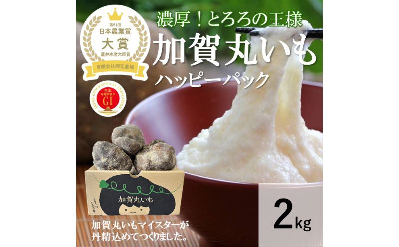 【日本農業賞大賞】加賀丸いもハッピーパック２ｋｇ（３～６個） 野菜