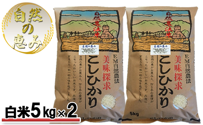 自然農法米こしひかり「自然の恵み」白米5kg×2個《特別栽培米》