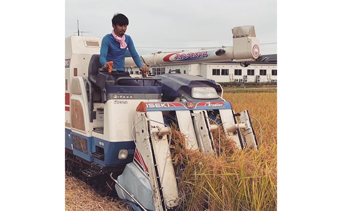 自然農法米こしひかり「自然の恵み」玄米5kg×2個《特別栽培米》