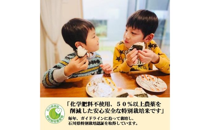 【日本農業賞大賞】【定期便10カ月連続】特別栽培米コシヒカリ4.5kg精白米